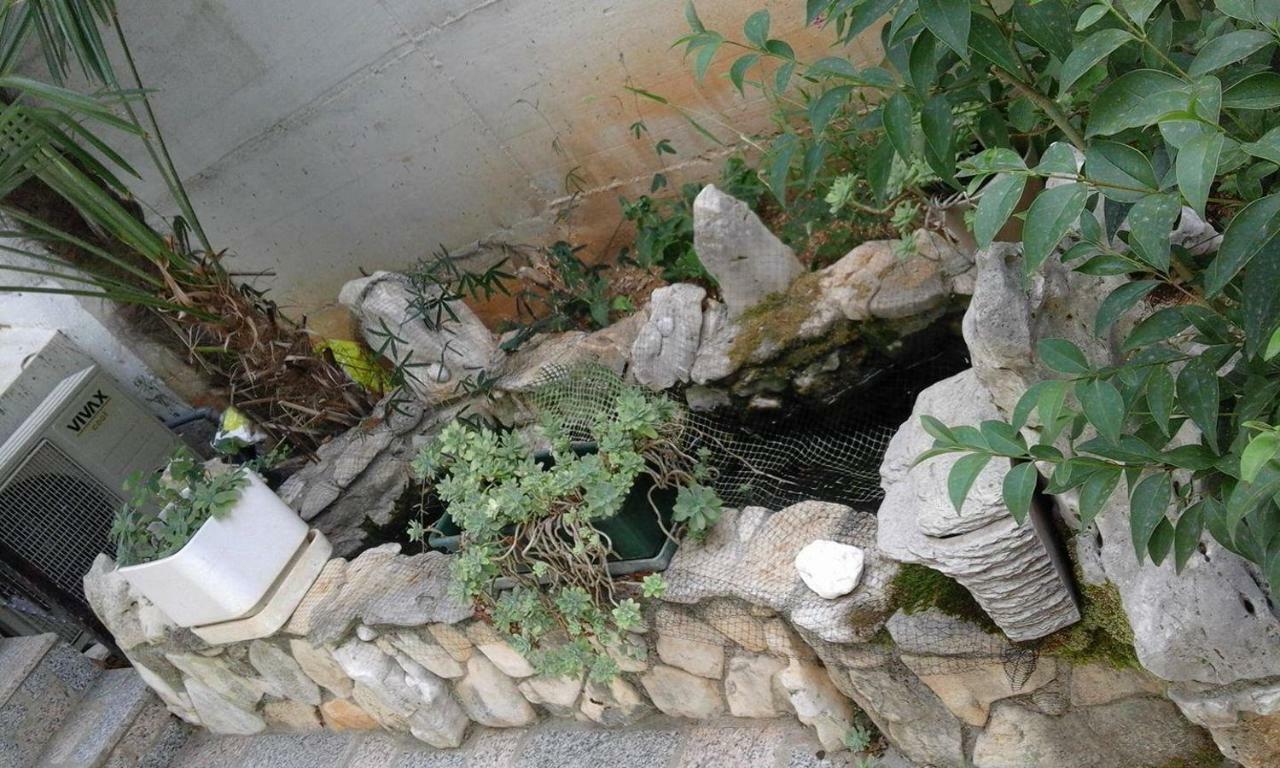 Apartment Jozefina Porec Bagian luar foto