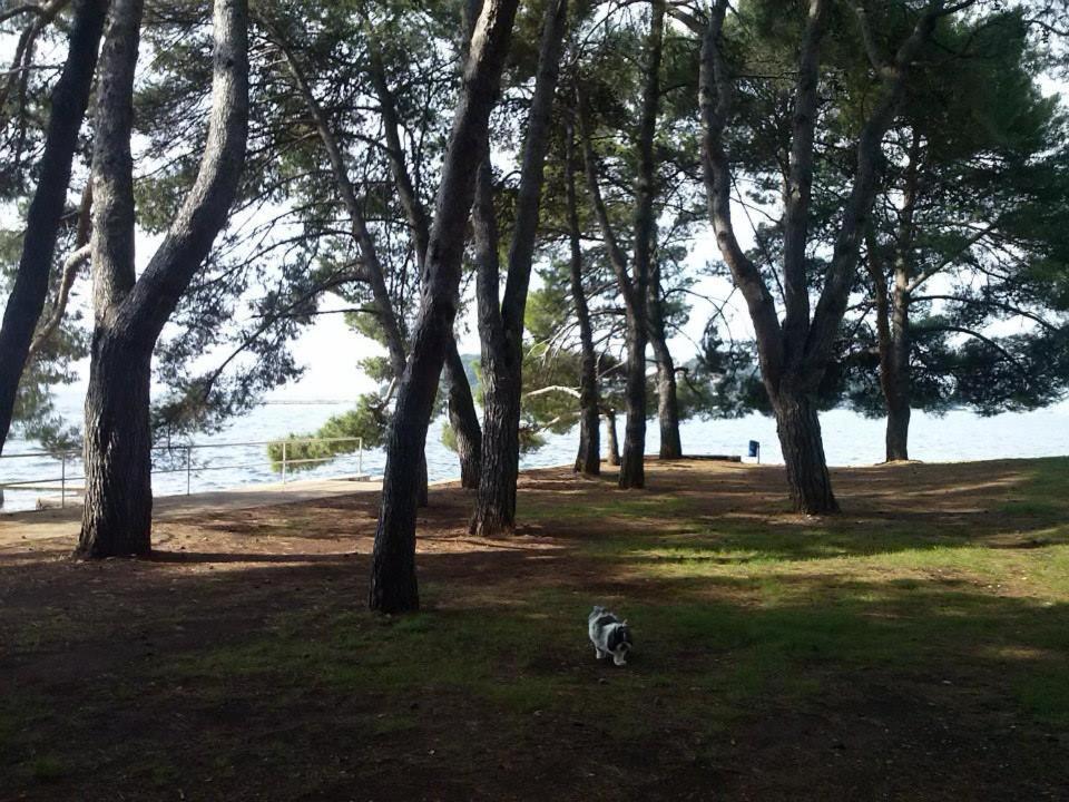 Apartment Jozefina Porec Bagian luar foto