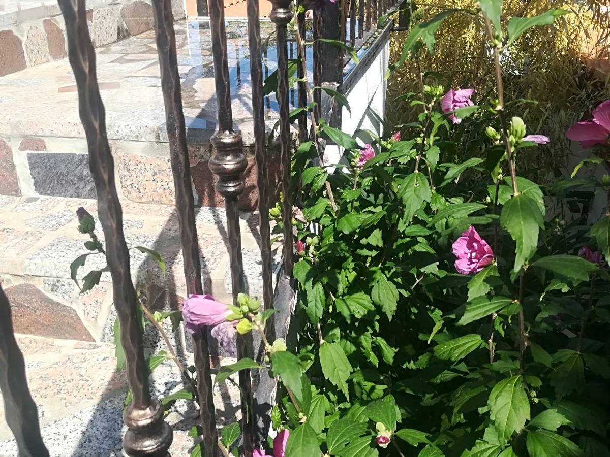 Apartment Jozefina Porec Bagian luar foto